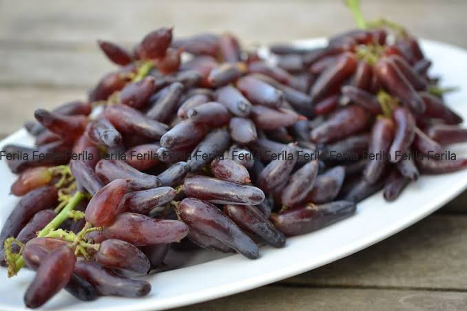 انگور هالووین
